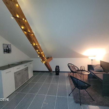 Penthouse N74 Linz 120 Qm Kids Welcome! Eksteriør billede