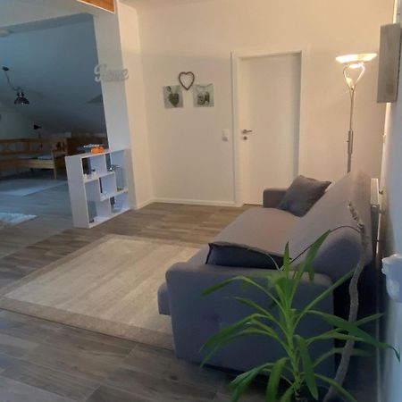 Penthouse N74 Linz 120 Qm Kids Welcome! Eksteriør billede