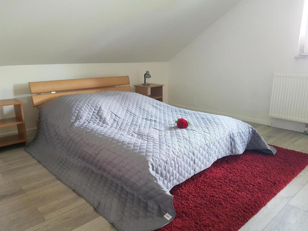 Penthouse N74 Linz 120 Qm Kids Welcome! Eksteriør billede