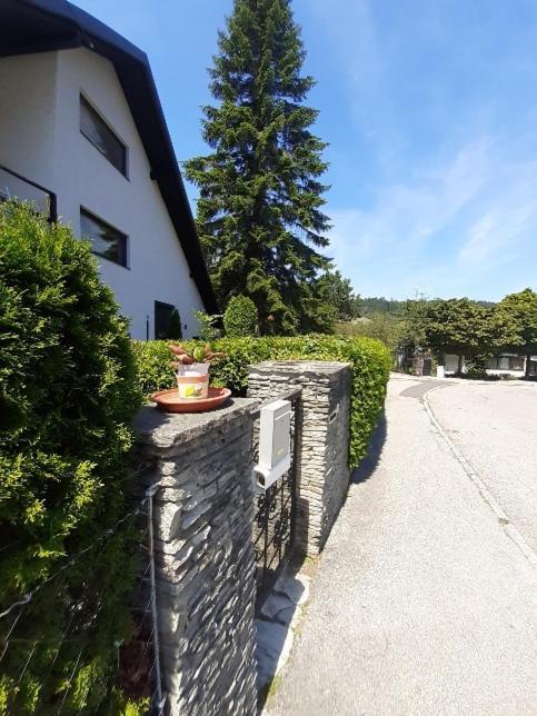 Penthouse N74 Linz 120 Qm Kids Welcome! Eksteriør billede