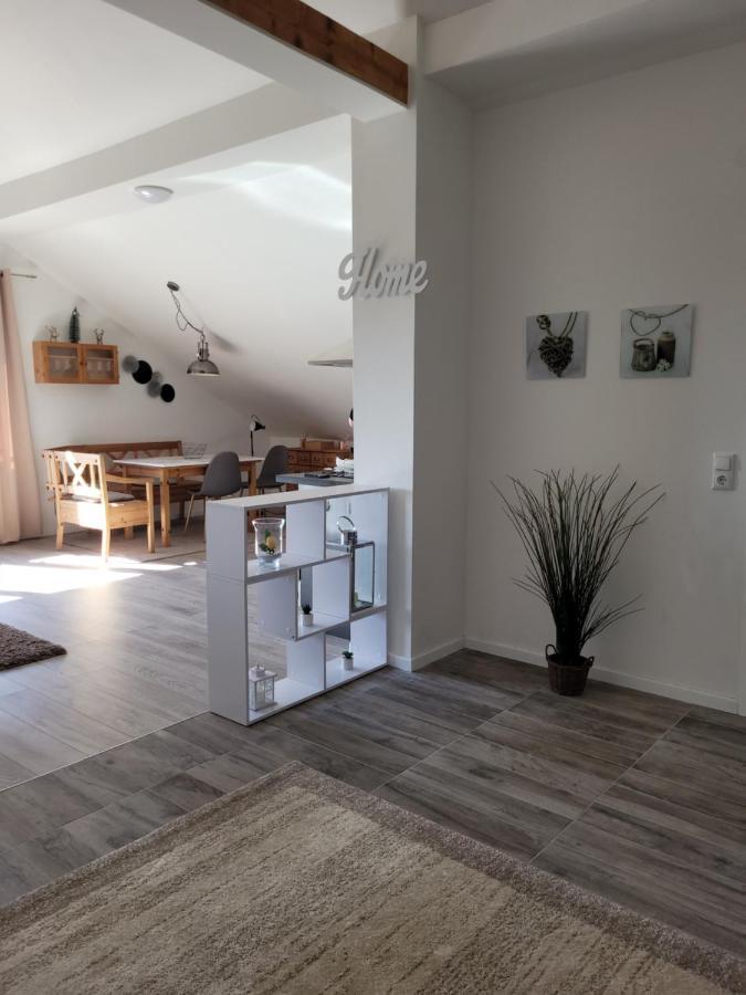 Penthouse N74 Linz 120 Qm Kids Welcome! Eksteriør billede