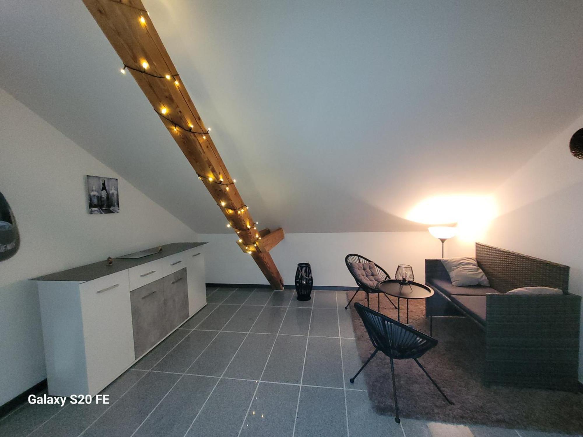 Penthouse N74 Linz 120 Qm Kids Welcome! Eksteriør billede