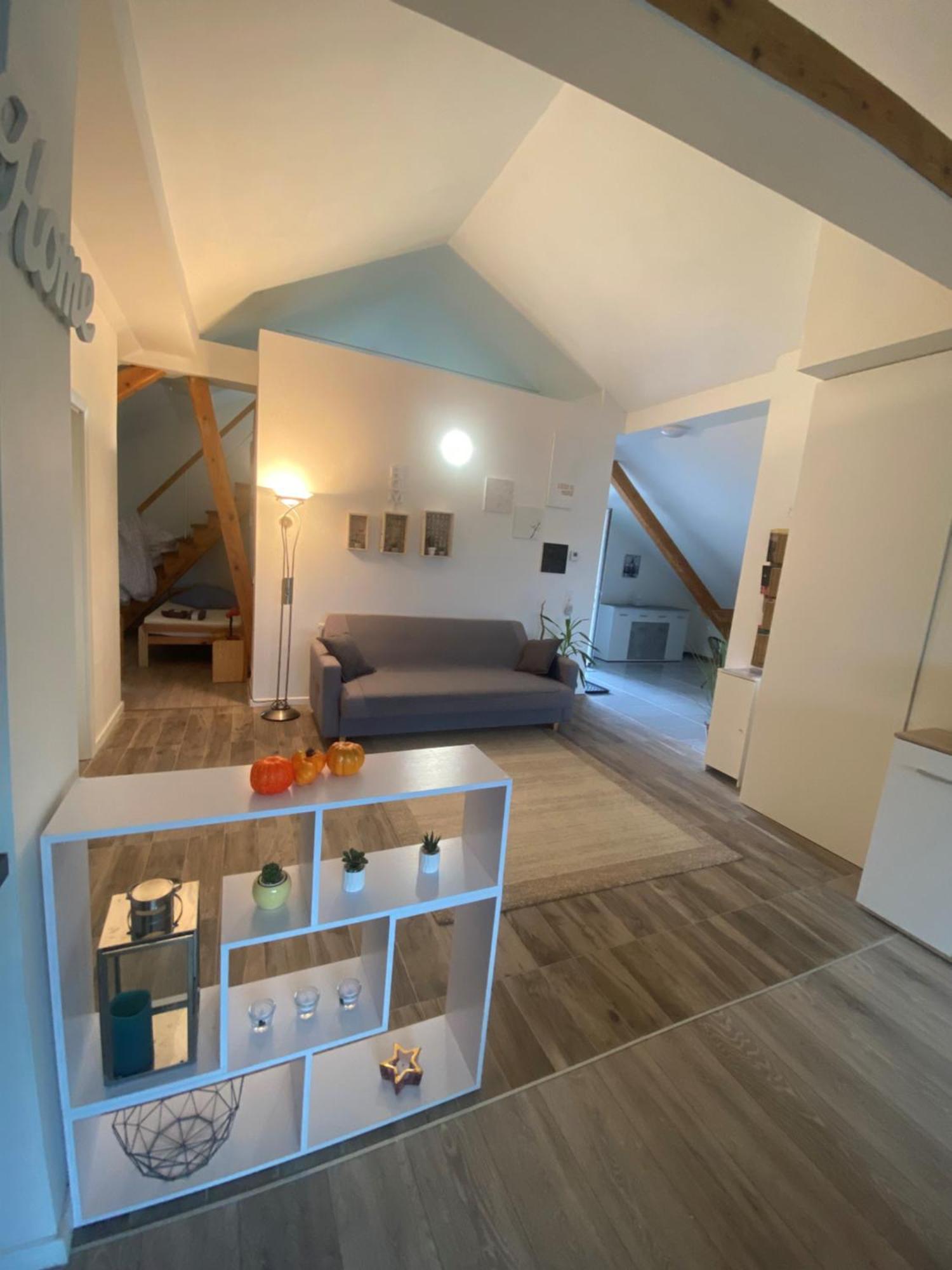 Penthouse N74 Linz 120 Qm Kids Welcome! Eksteriør billede